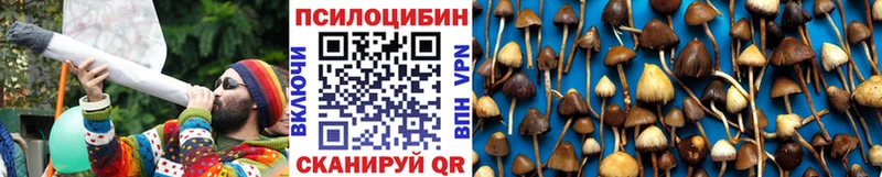 Купить где  Вихоревка  Галлюциногенные грибы GOLDEN TEACHER 